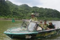 Tăng cường bảo vệ, PCCC rừng