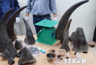 Buôn bán trái phép động vật hoang dã – Những hệ lụy đáng báo động