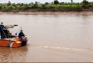 Dịch tả lợn châu Phi tiếp tục được phát hiện