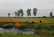 Lội mương nước nhiễm hóa chất, người phụ nữ bỏng nặng 2 chân