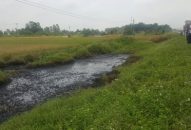 Lội qua mương nước, người phụ nữ bị bỏng nặng hai chân