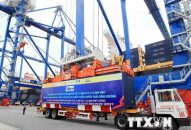 Hải Phòng: Đề xuất 1.000 tỷ đồng làm đường kết nối sau cảng Lạch Huyện