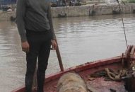 Mò sắt vụn, vớ phải… bom