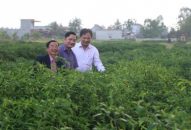 Nhân rộng các mô hình thôn NTM kiểu mẫu