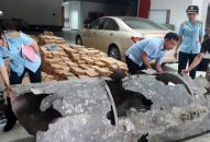 Ngư dân Quảng Ninh 'bắt' được "vật thể lạ" trên biển