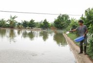 Kiểm tra hiệu quả vay vốn của người dân huyện Vĩnh Bảo