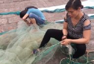 Quận Đồ Sơn: Sản lượng nuôi trồng thủy sản ước đạt 1.945 tấn