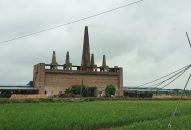 Hải Phòng: Xóa bỏ lò gạch thủ công – đợi đến bao giờ!