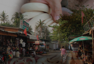 Cuộc chiến chống buôn bán ngà voi gặp khó vì bảo kê, tham nhũng?