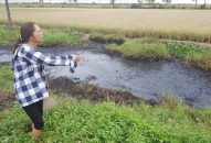 Hải Phòng: Điều tra vụ đổ trộm chất thải độc hại ra mương khiến dân bị bỏng