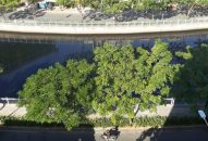 Môi trường bị nội công, ngoại kích