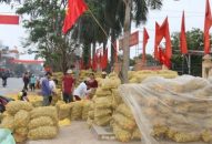 Toàn thành phố có 53 cơ sở chế biến nông sản