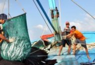 Chuyện thời cuộc: Gỡ thẻ