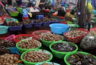 Du lịch tiết kiệm “lên ngôi”