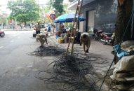 Hoàn thành hạ ngầm mạng cáp ngoại vi viễn thông tại 2 tuyến đường trung tâm trước ngày 15/6/2019