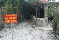 Gần 140 nghìn lít hóa chất sử dụng phòng, chống dịch tả lợn Châu Phi