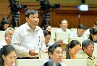 Các dịch vụ phụ trợ bảo hiểm phải thống nhất với luật hiện hành và thông lệ quốc tế