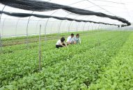 Huyện Cát Hải (Hải Phòng) học tập và làm theo Bác