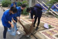 Xóa quảng cáo rao vặt