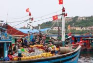 Khai thác nguồn lợi hải sản – cần một lộ trình phát triển bền vững cho vùng biển Hải Phòng (Kỳ 1): Tiềm năng từ thiên nhiên