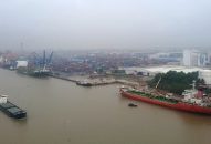 Khai thác nguồn lợi hải sản – cần một lộ trình phát triển bền vững cho vùng biển Hải Phòng (Kỳ 2): Còn nhiều việc phải bàn