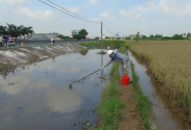 Quan trắc mẫu nước tại kênh tưới tiêu tại xã Hưng Nhân, huyện Vĩnh Bảo