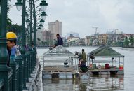 Hải Phòng dựng nhà cho thiên nga kết đôi sinh sản