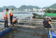 Xử lý 2 vụ vi phạm về môi trường