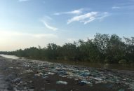 Rừng ngập mặn “kêu cứu” trước lượng rác khổng lồ đổ về Hải Phòng