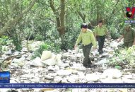 Rác thải tràn trong rừng trồng phòng hộ ở Hải Phòng