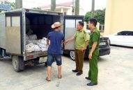 Hải Phòng: Bắt giữ xe ôtô vận chuyển lợn bị ốm, chết