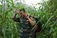 Chó nghiệp vụ phát hiện thi thể bà cụ mất tích trong rừng