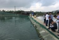 48/105 mẫu tôm dương tính với bệnh đốm trắng