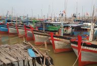 Hạn ngạch bất cập, ngư dân than khó