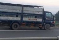 Xe tải chạy ngược chiều cao tốc Nội Bài – Lào Cai bị phạt 7,5 triệu đồng