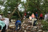 Tiến hành thu dọn rác thải nhựa tại rừng phòng hộ Tiên Hưng (Tiên Lãng)