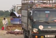 Xem xét xử lý hình sự vụ việc vận chuyển lợn nhiễm bệnh đi tiêu thụ