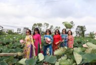 Nở rộ trào lưu chụp ảnh cùng hoa sen