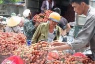 Hoa quả nội đang chiếm ưu thế thị trường