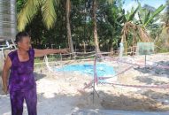 Một trang trại 20.000 con lợn thành ổ dịch tả lợn Châu Phi lớn nhất nước