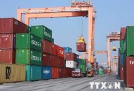 Doanh nghiệp dùng giấy tờ giả nhập trái phép hàng trăm tấn phế liệu