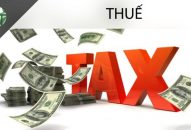 Nộp hồ sơ khai thuế giá trị gia tăng cho chi nhánh ở đâu?