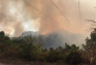 Thông tin báo chí về tình hình cung cấp điện ngày 28/6/2019