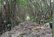 Hành trình đi tìm làng cổ Áng Dài