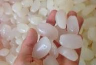 Giữ hạt đác được lâu