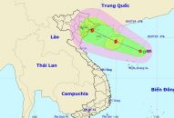 Hải Phòng chủ động ứng phó với bão giật cấp 11