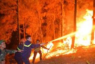 Chuyện thời cuộc: Phòng cháy rừng