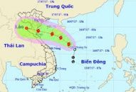 Chủ động ứng phó bão số 2