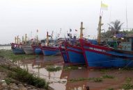 Các địa phương ven biển phía Bắc đồng loạt cấm biển
