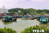 Hải Phòng cấm người dân, du khách xem sóng biển dâng cao